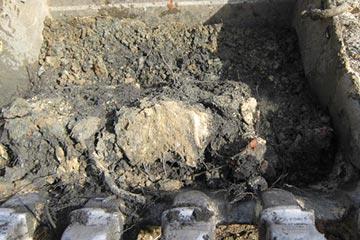 Sample Collection, Analysis and Reporting